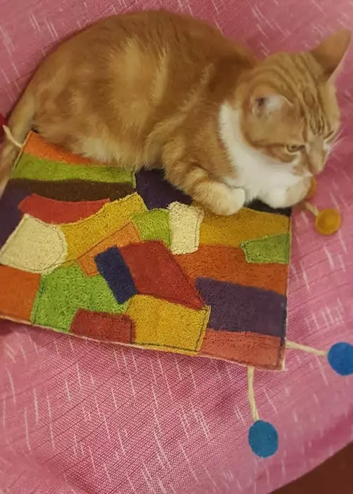 Buddelboom, Brigitte Fuzellier, Finca Buddelboom, Gnadenhof für Tiere, Pflanzenkurse, Tierschutz, spirituelle Kurse, Erlebniswochenende, Acuna, San Lorenzo, Oipic, Tierpaten, Spenden für den Gnadenhof, Hunde, Katzen, Esel, Schweine, Tiere aller Art, Auswanderer, Paraguay