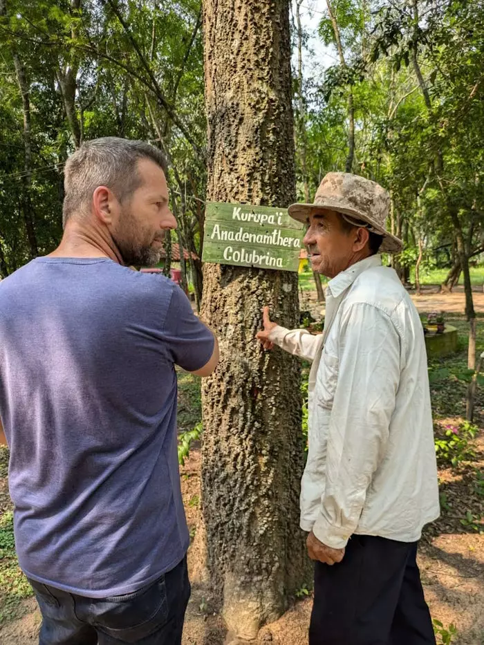 Buddelboom, Tageskurse, Intensivkurse, Kompakter Kurs, Zoom Webinar, Acuna, San Lornzo, Paraguay