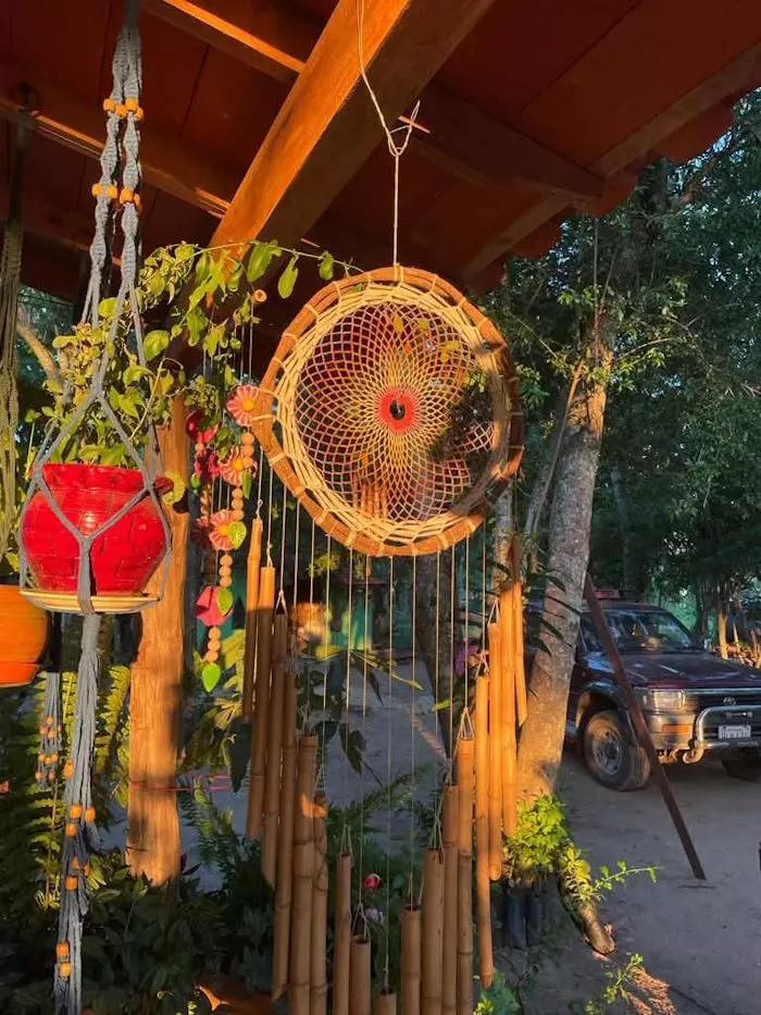 Buddelboom, Tageskurse, Intensivkurse, Kompakter Kurs, Zoom Webinar, Acuna, San Lornzo, Paraguay