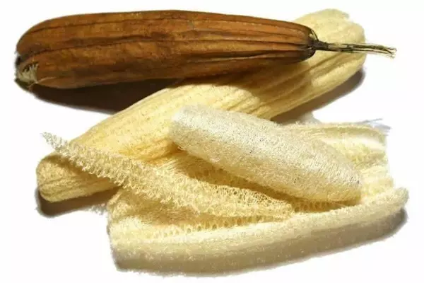 Eco-Loofah Schwämme, Buddelboom, Brigitte Fuzellier, Paraguay