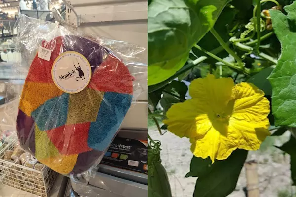 Eco-Loofah Schwämme, Buddelboom, Brigitte Fuzellier, Paraguay